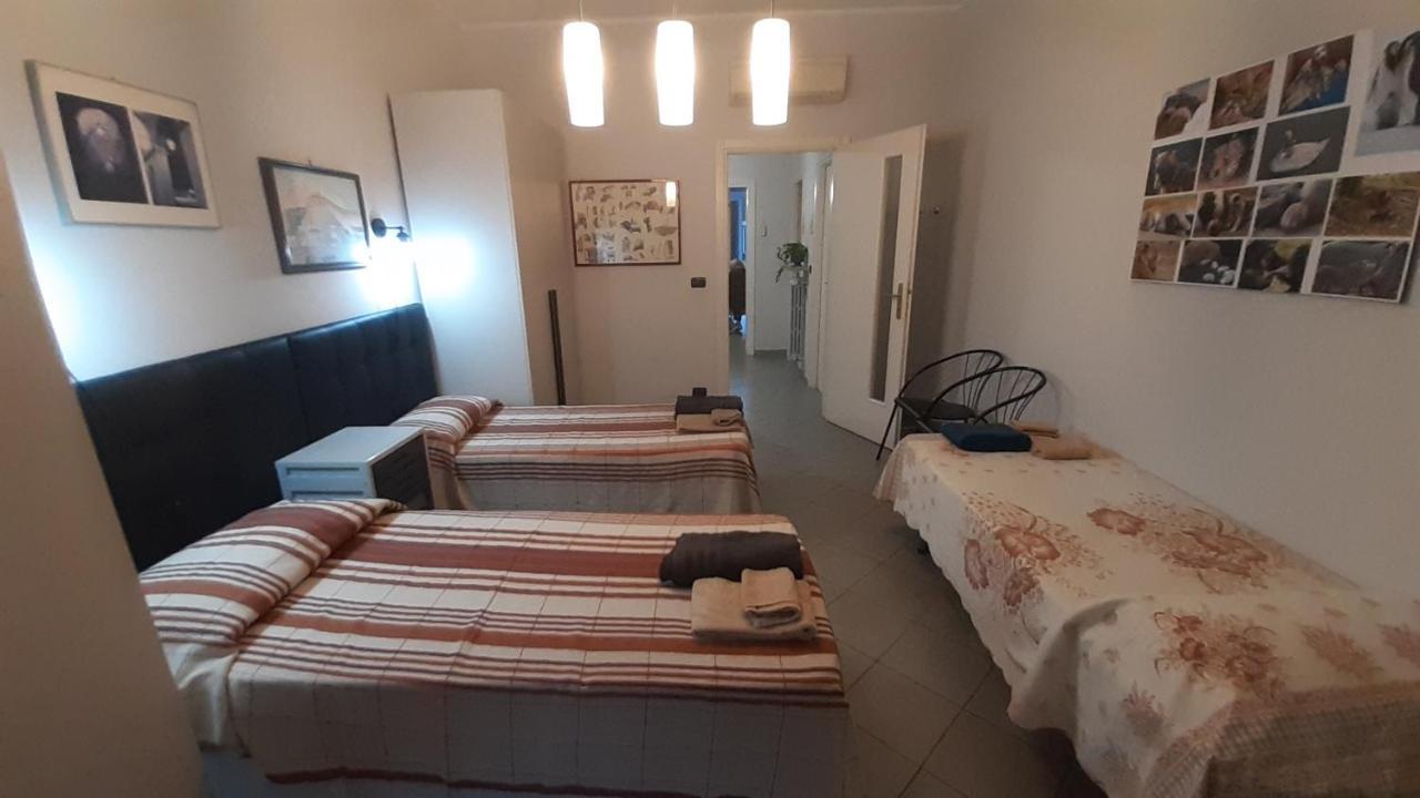 Metronear Appartement Collegno Buitenkant foto